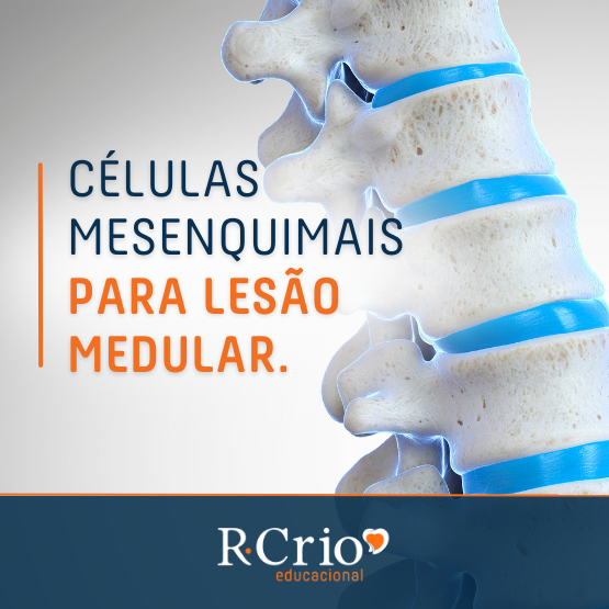 R-Crio Educacional