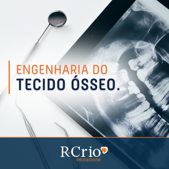 R-Crio Educacional