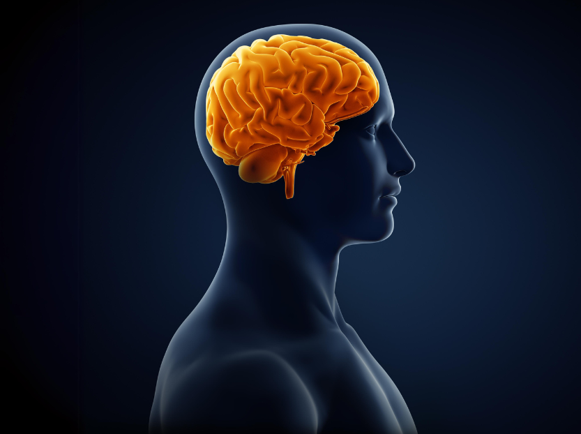 Revolucionando o combate ao glioblastoma: terapia CAR-T com tecnologia synNotch